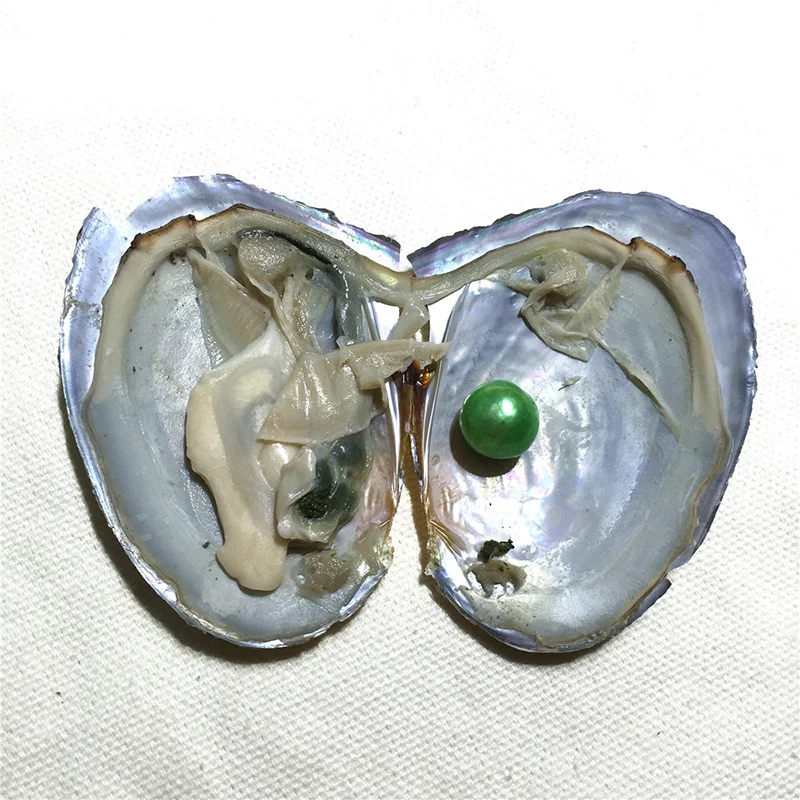 a-1 (1)