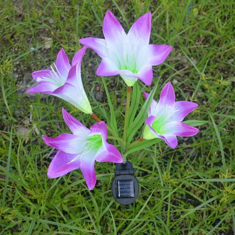 BG0050 (18)
