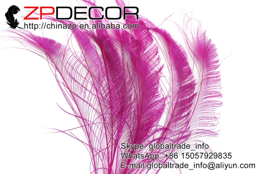 Hot pink peacock swords feathers  (2)