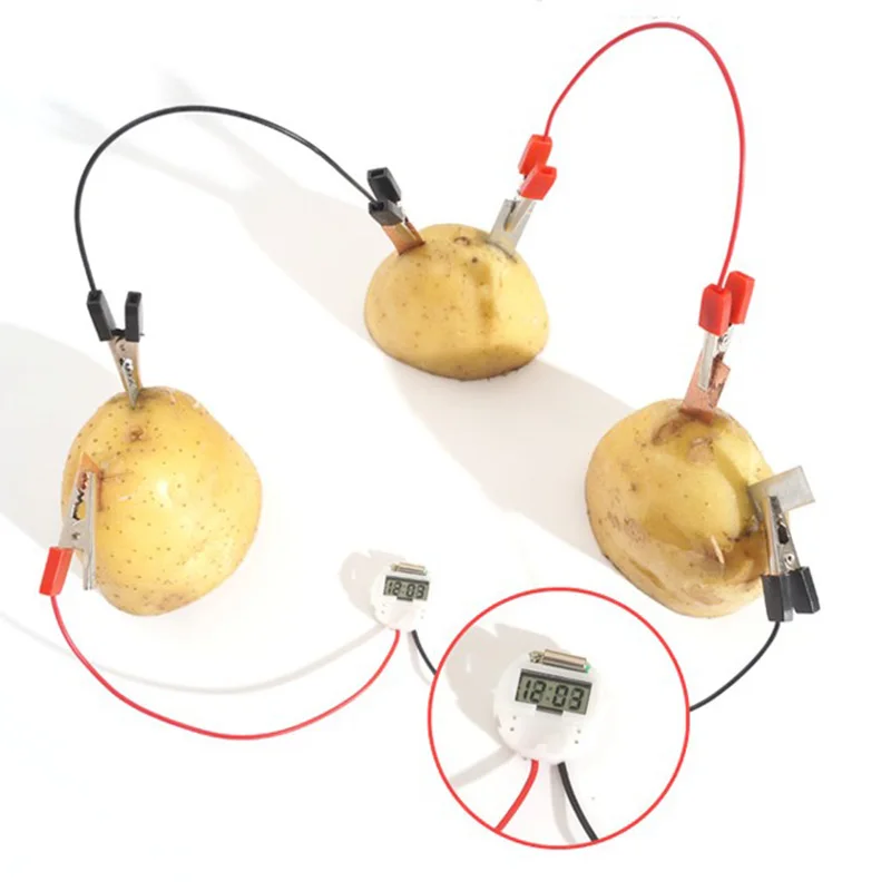 

Educational DIY Material Potato Clock Novel Green Science Project Experiment Kit Lab Home School Toy Funny For Children Kids