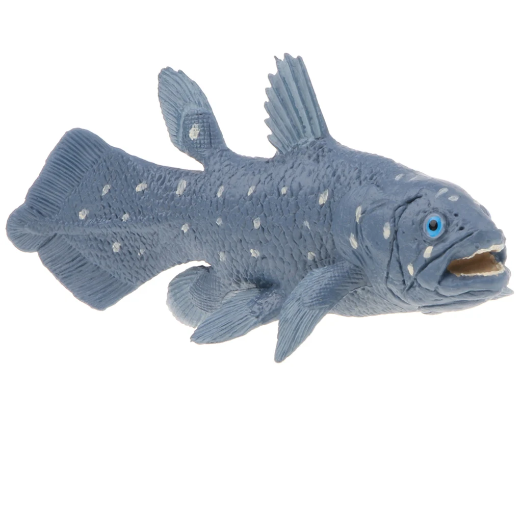 Realistic Marine Fish Model Figurines, 5 Inch Coelacanth Action Figure Toy for Kids, Science Educational Toy	