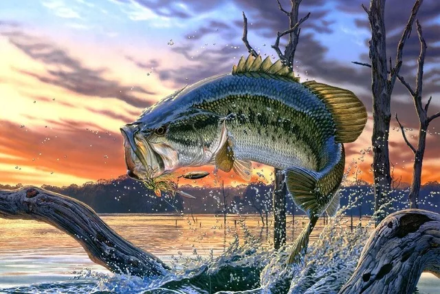 Bass Fishing Lake Fish Painting Poster 5 Panel Canvas Print Wall Art Home Decor Bass Fishing Lake Fish Painting Poster 5 Panel Canvas Print Wall Art Home Decor