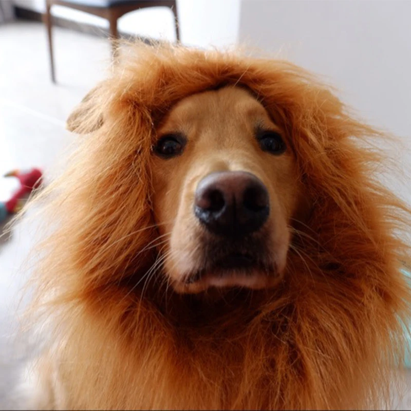 toupee animal