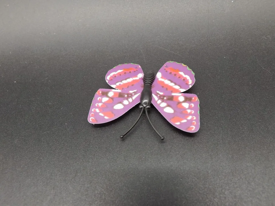 I247-Butterfly (8)