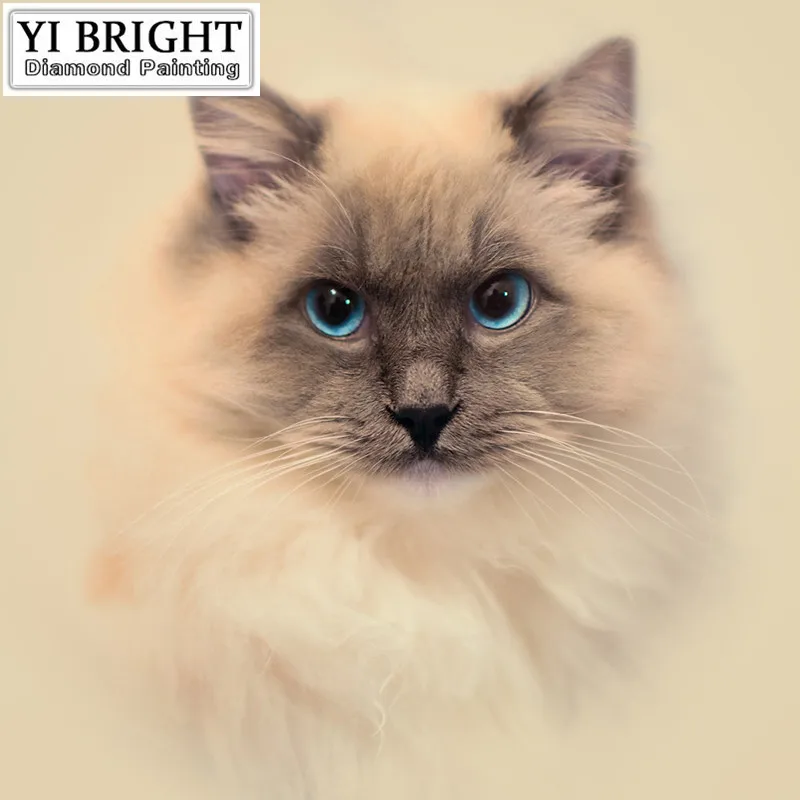 a059ffd9c49e8b9c31a4be5af7f13d0c.XL