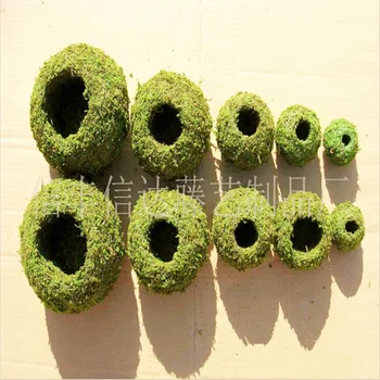 

Hot Sell Fleshy Flowerpot Dyeing Moss Home Furnishing Micro Landscape Gardening Moss Ball Pot DIY Material Home Decoration