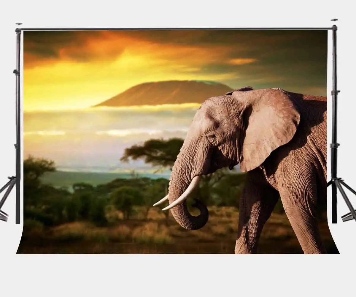 Dusk Grassland Background Old Elephant Natural Scenery Children Photo Studio Backdrop 150x220cm Photography Backdrops Wall | Электроника