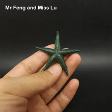 Мини Морская звезда модель животного обучающий держатель игрушек детей