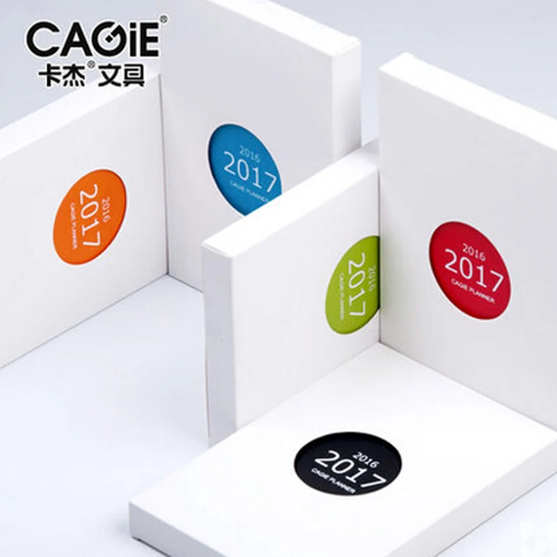cagie 13 months calendar