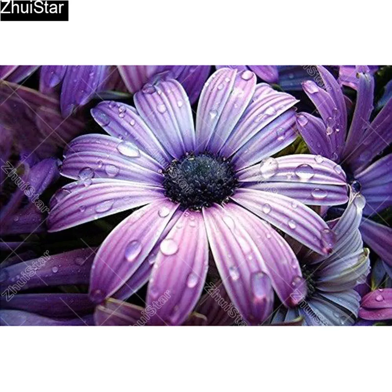 9a985d846932e13dc0214836b67e7498a0b488c71217b-IEhUH9_fw658 