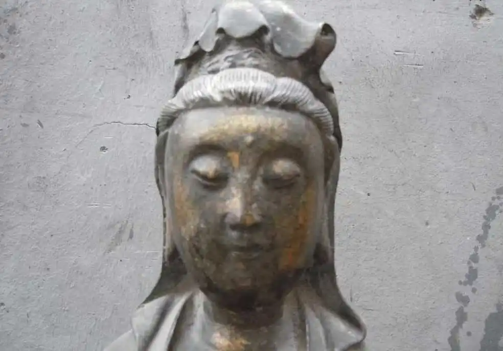 

25" China bronze gild carved turtle Buddhism Kwan-yin buddha Sculpture statue