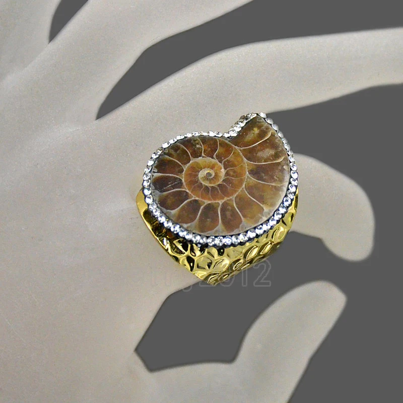 002-2a Ammonite Fossil 25x29mm