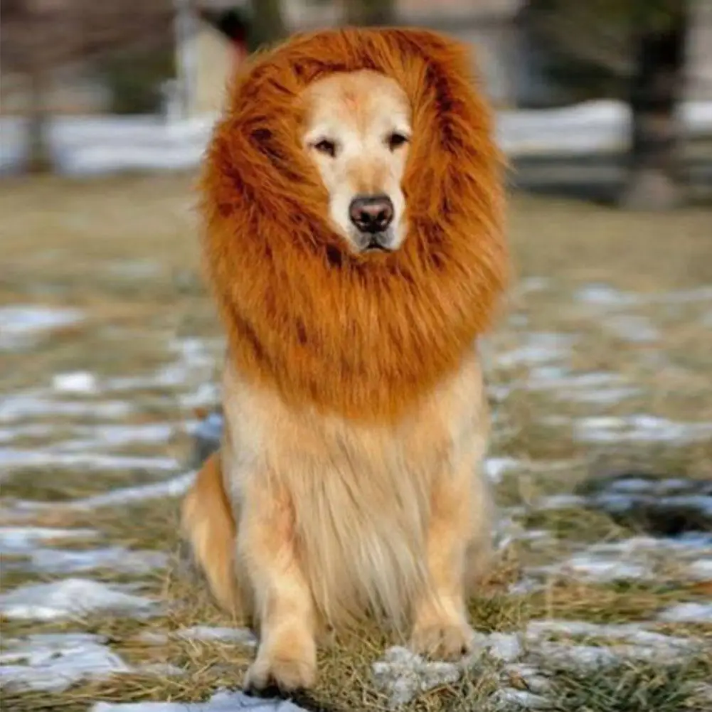 Lion Mane Wig Pet Dogs Halloween Festival Fancy Fun Dress ...