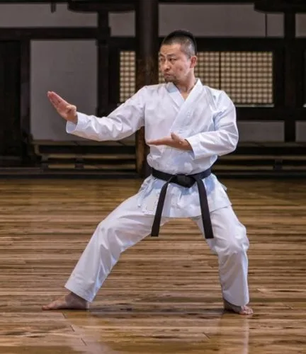 

Champion Official WKF Kata Karate Uniform - White SIze 120-190cm