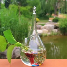 Украшения дома прозрачный стеклянный гидропоника современная мода дома ваза аксессуары декоративные вазы