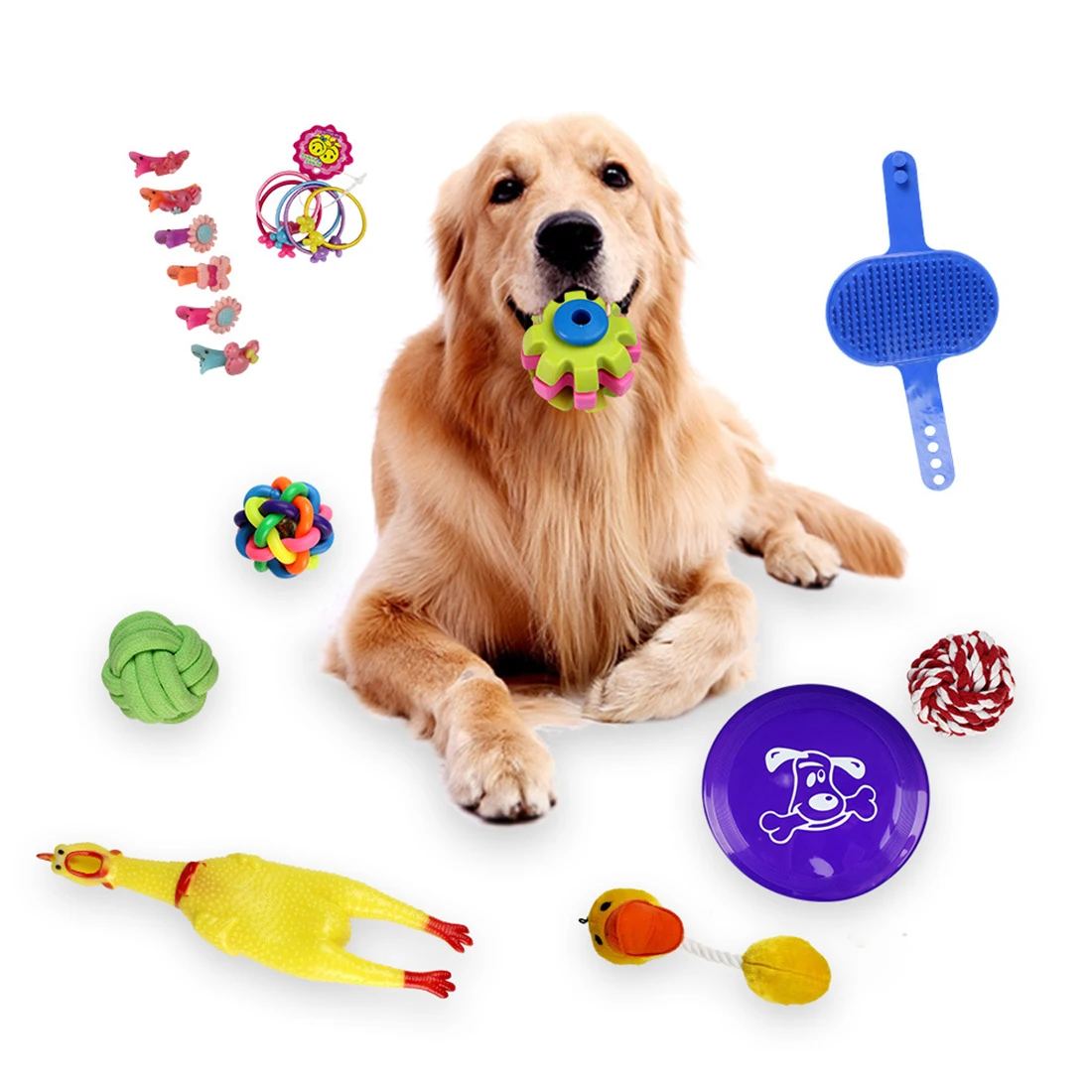 18Pcs Dog Teaser Squeak Toys Interesting Molar Toys for Pets Training