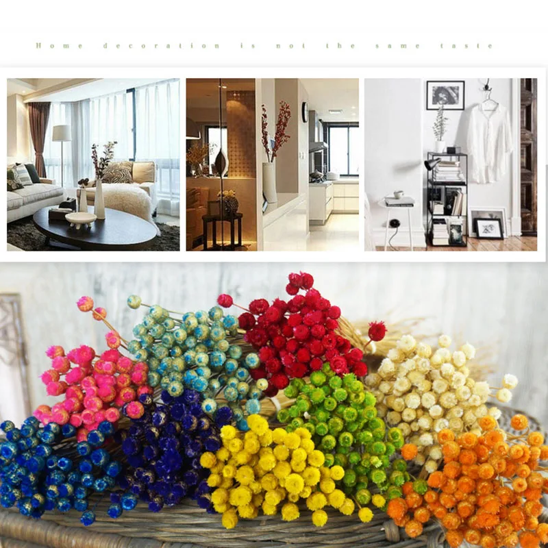 

Home Decoration Dry Bouquet Natural Dried Flower 50pcs Eternal Flower Wedding Party Decoration Photography Props