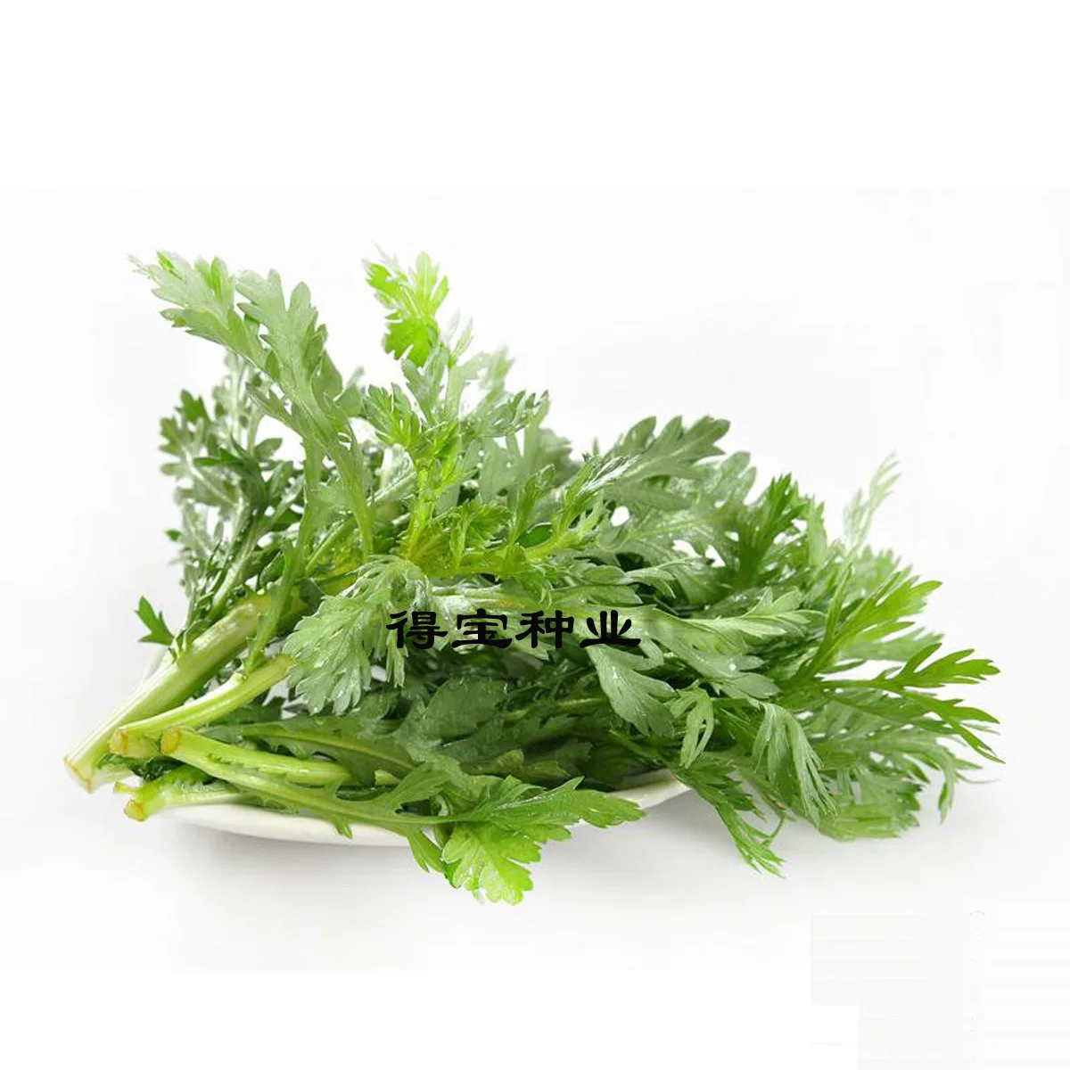 

Limited Direct Selling Summer Virgo bonsai Vegetable bonsai Small Leaf Terrace Planting Species Simple Vegetables 100pcs