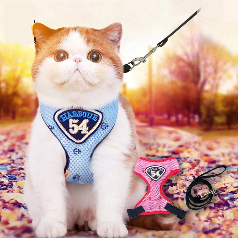 Navy Cat Harness And Leash Set (17)