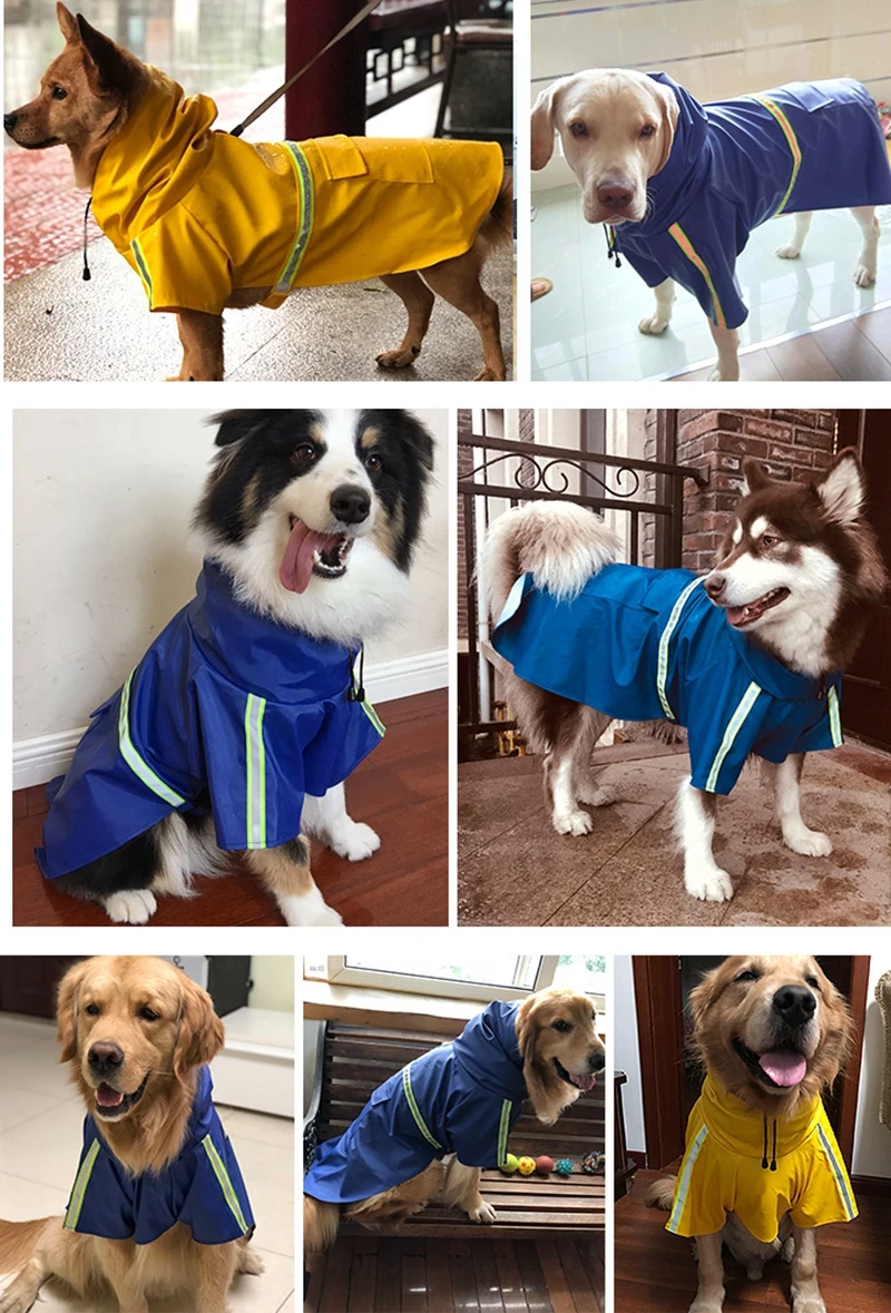 9168581521_609020808