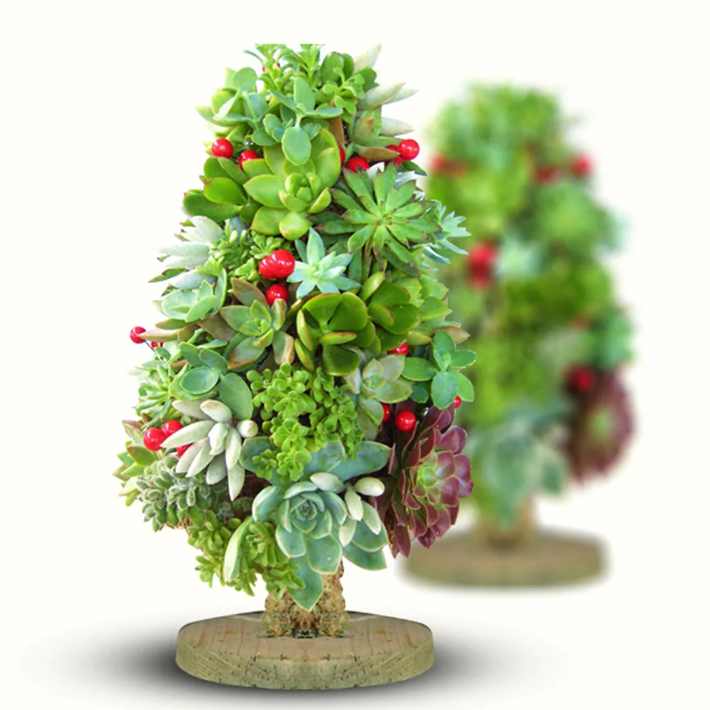 Online Buy Wholesale indoor plant stands from China indoor