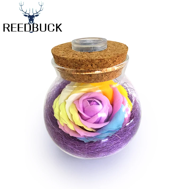 led RGB lamp Color Romantic rose wishing bottle (1)