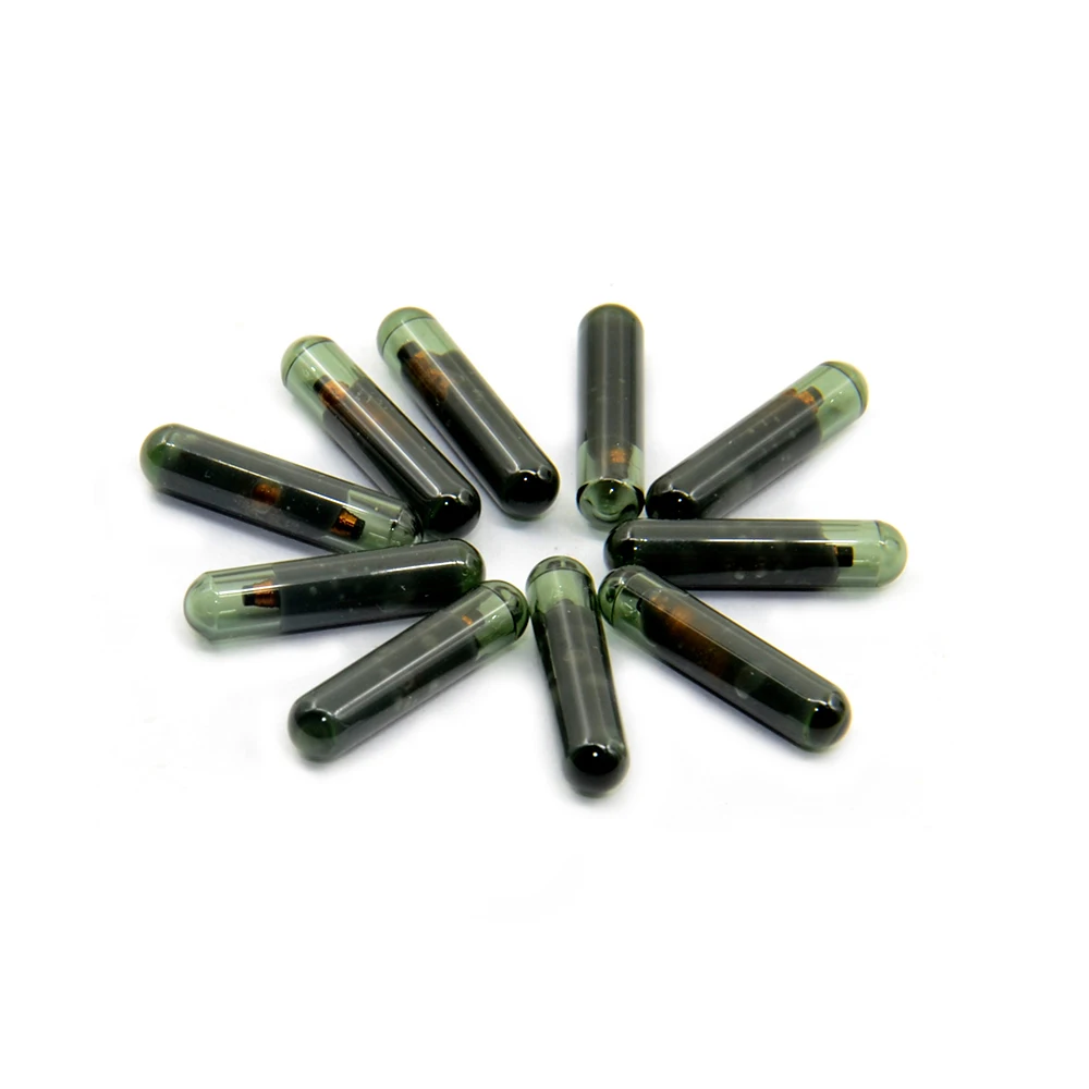 SV110 (3)
