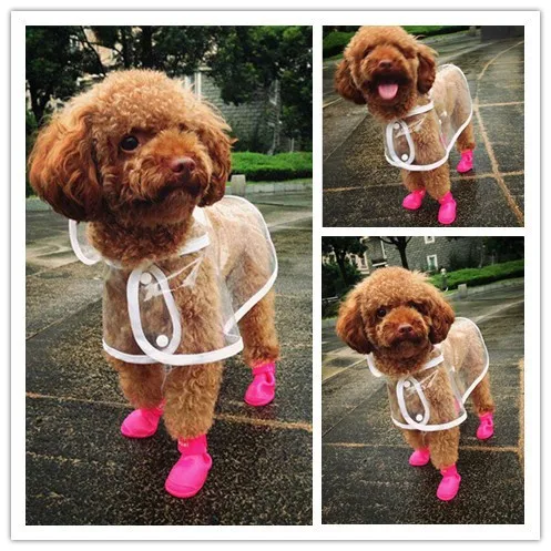 Transparency-Dog-Raincoat-With-Extra-D-Ring-Hole-Newest-Small-Pet-Dog-Waterproof-Raincoat-Transparent-EVA
