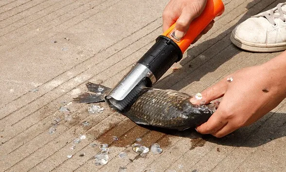 Cheap scaler