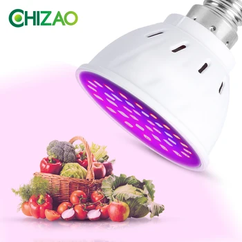 

CHIZAO Led Grow Lamp Phyto Lamp E14/E27/GU10/MR16 Light Led For Plant 220V 110V Grow Light Red Blue For Plants Growth Phyto Lamp