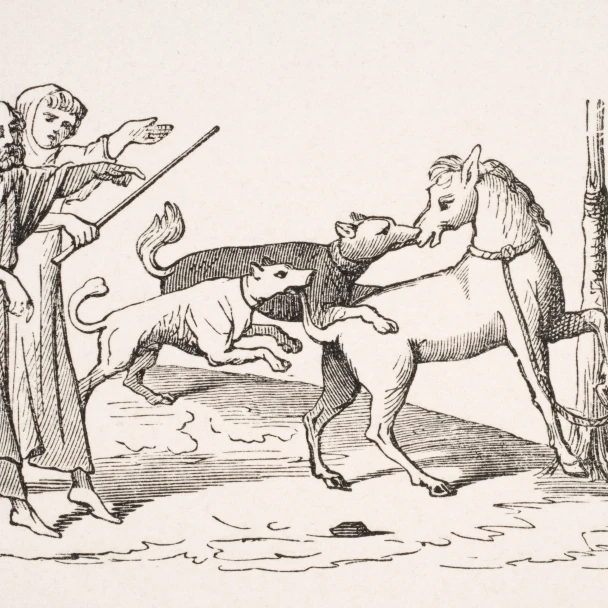 Fight Between Horses And Dogs. 19Th Century Reproduction Of 13Th Century Manuscript Poster Print (18 x 11)