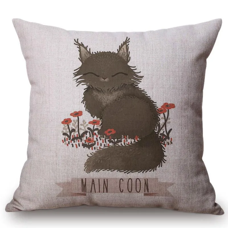 main-coon-cat-3c2-canvas 