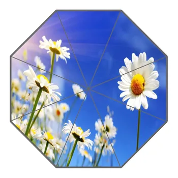 

New Arrival Daisy Flower Umbrellas Non-Automatic Folding Women Rain Umbrella Customized Fashion Portable Umbrella Gift