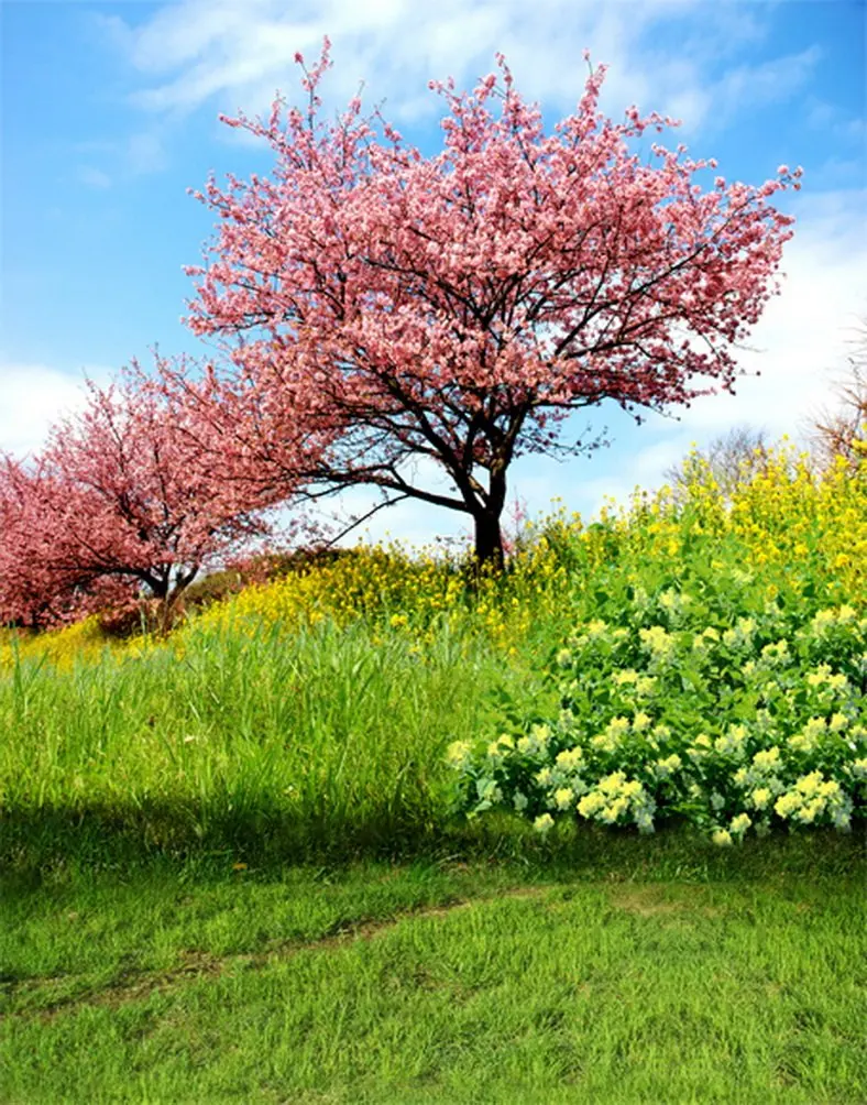 

5X7 футов розовые цветы дерево зеленая трава фон для фотосъемки реквизит для фотостудии фон