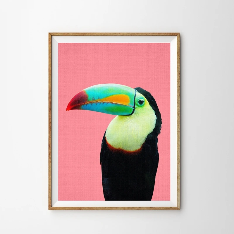 

Toucan Bird Canvas Prints Modern Photography Bright Colourful Large Poster Art Painting Tropical Parrot Picture Kids Room Decor