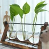 Garden Supplies
