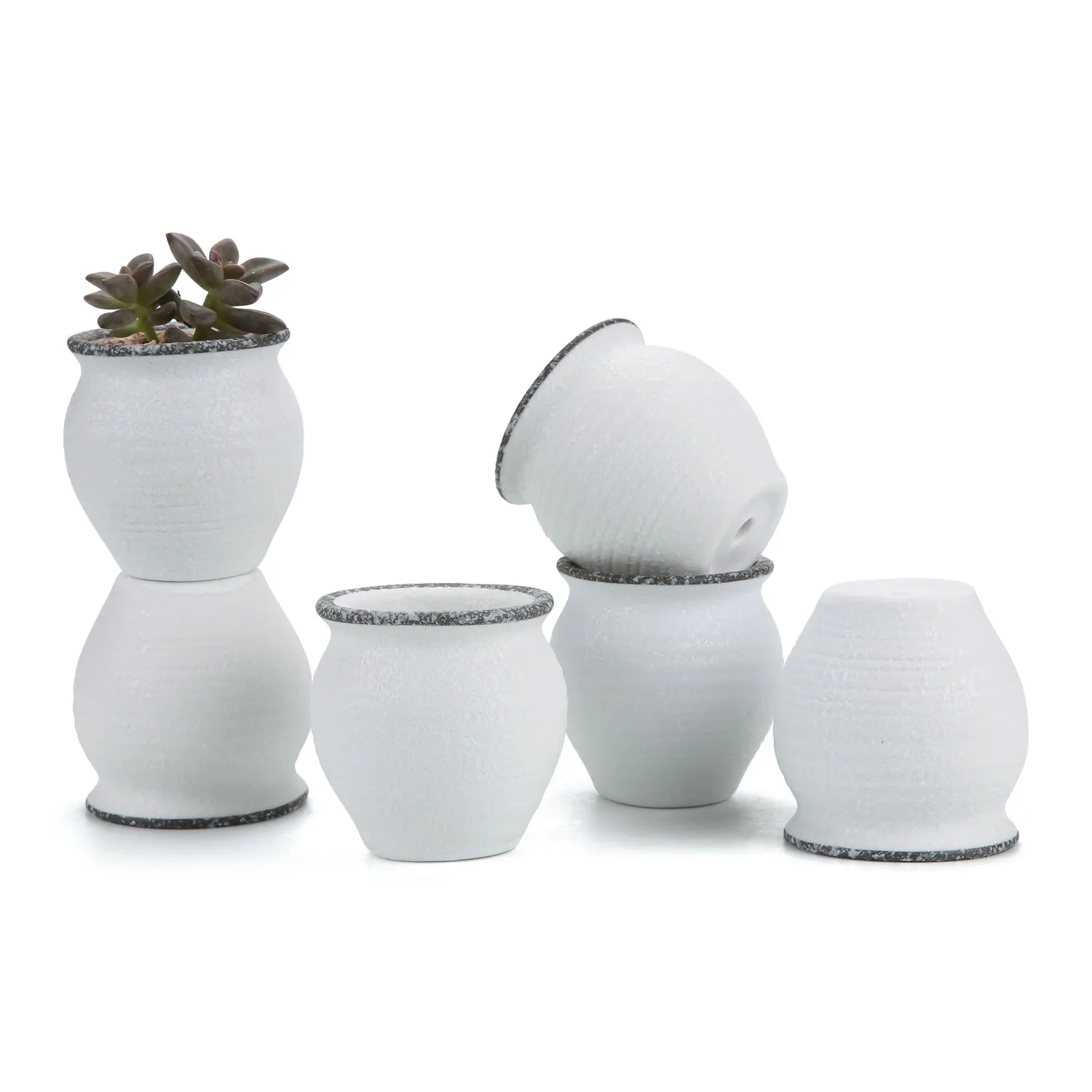 

2.25 Inch Ceramic Mini Korea Style Snow Serial No.2 succulent Plant Pot Cactus Flower Pot Container Planter Package 1 Pack of 6