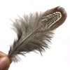 20PCS Natural Pheasant Feathe fly nymphs feather materials marking Salmon and Steelhead Flies Body Dry Fly Tying Material ► Photo 2/3