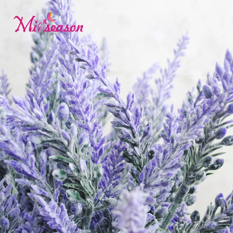 Buy Miiseason Romantic Provence
