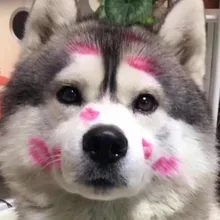 Доплата по вашему заказу