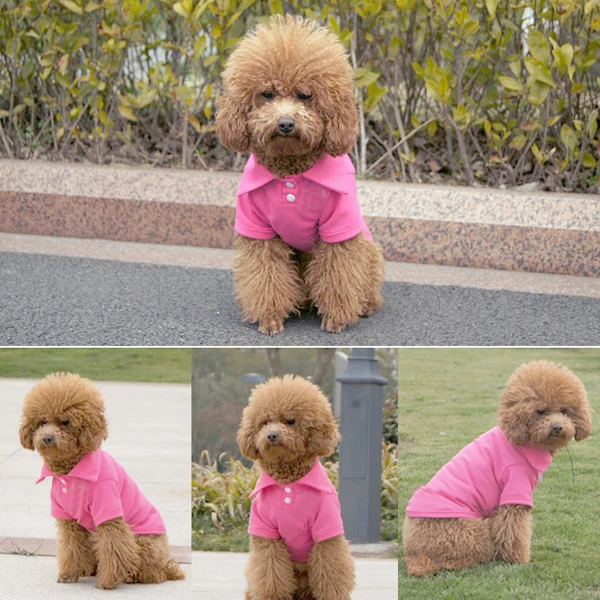 New Pet Vest Doggy Apparel Dog POLO T Shirts Cool Puppy Clothes products Size XS S M L-in Dog 