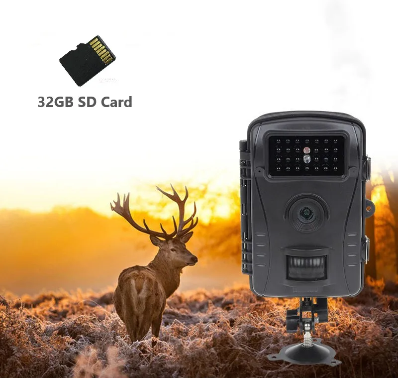Pddhkk 8MP фото ловушка Камера 1080 P 26 шт. светодиодных индикаторов IR 940nm Охота Камера IP54 Водонепроницаемый 70 градусов угол аудио Запись - Цвет: RD1003 32GB SD Card