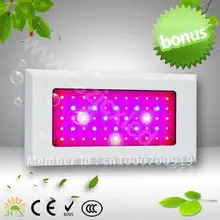 82 доллар продвижение только один месяц, 3 Вт чип привело растут свет 120 Вт(55*3 Вт), 3 года гарантии, дропшиппинг