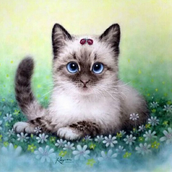 

A3389 Diamond Embroidery Home Decor Cross Stitch Love Cat 100% Resin Tool dril Painting Cross Stitch Mosaic Needlework