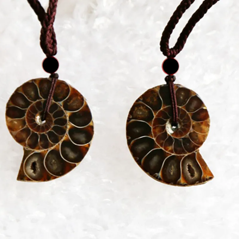 Beautiful Natural Stone Ammonite Fossils Seashell Snail Pendants Ocean Reliquiae Conch Animal Necklaces Statement Men Jewellery | Украшения