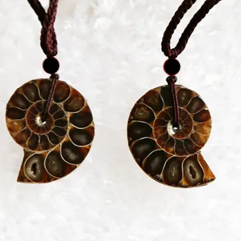 

Beautiful Natural Stone Ammonite Fossils Seashell Snail Pendants Ocean Reliquiae Conch Animal Necklaces Statement Men Jewellery