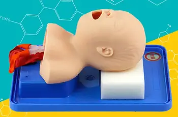 

Infant tracheal intubation training model human tracheal intubation model