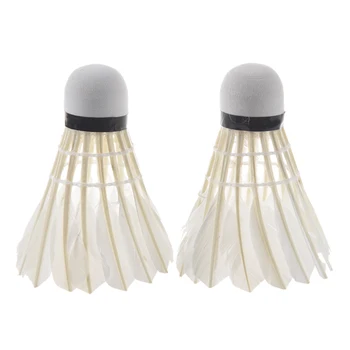 

LED Badminton Light