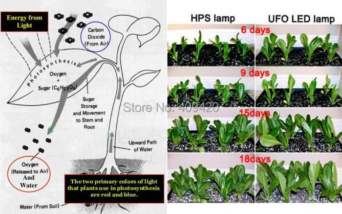 5 Вт Светодиодный Grow light E27 светодиодный лампы для растений Hydropoics свет парниковых органический полный спектр освещения лампы