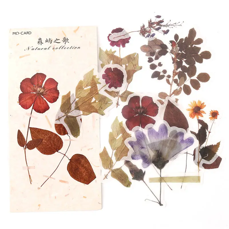 

Decorative Paper DIY Scrapbook Sticker Mixed Flower Leaf Notebook Gift Package Label DIY 10.5cm x8.5cm 4.6cm x3.7cm 60 PCs/Pack